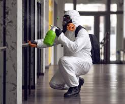 Best Residential Mold Inspection & Testing in USA